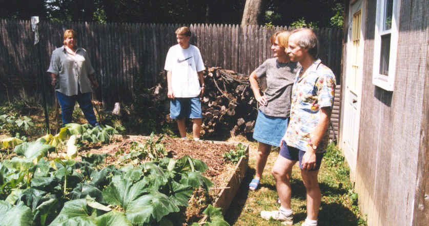 okra_3.jpg (55894 bytes)
